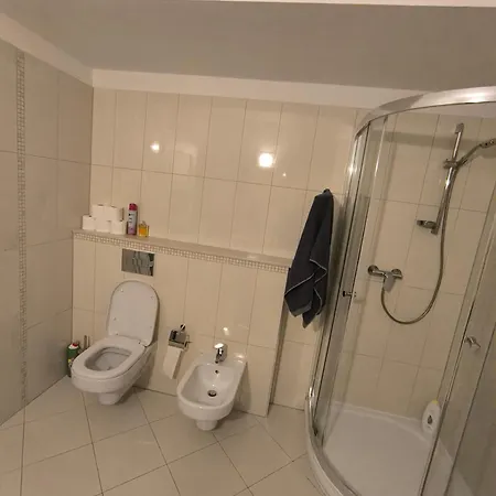 Apartment Alex Karlovy Vary