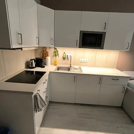 Alex Apartment Karlovy Vary